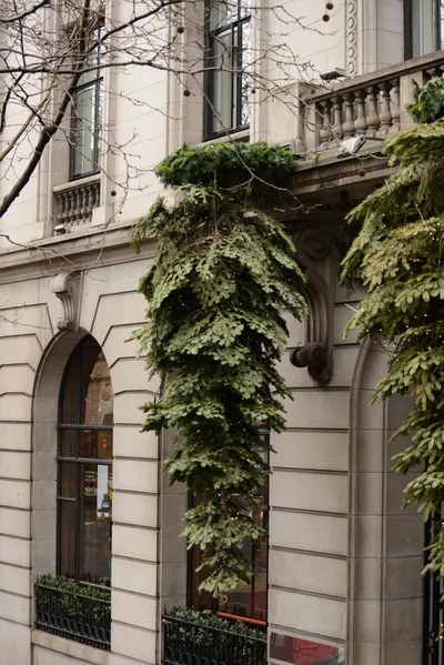 DSC_5830 (Large).JPG